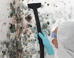 Best Attic Mold Removal  in Rio Vista, TX